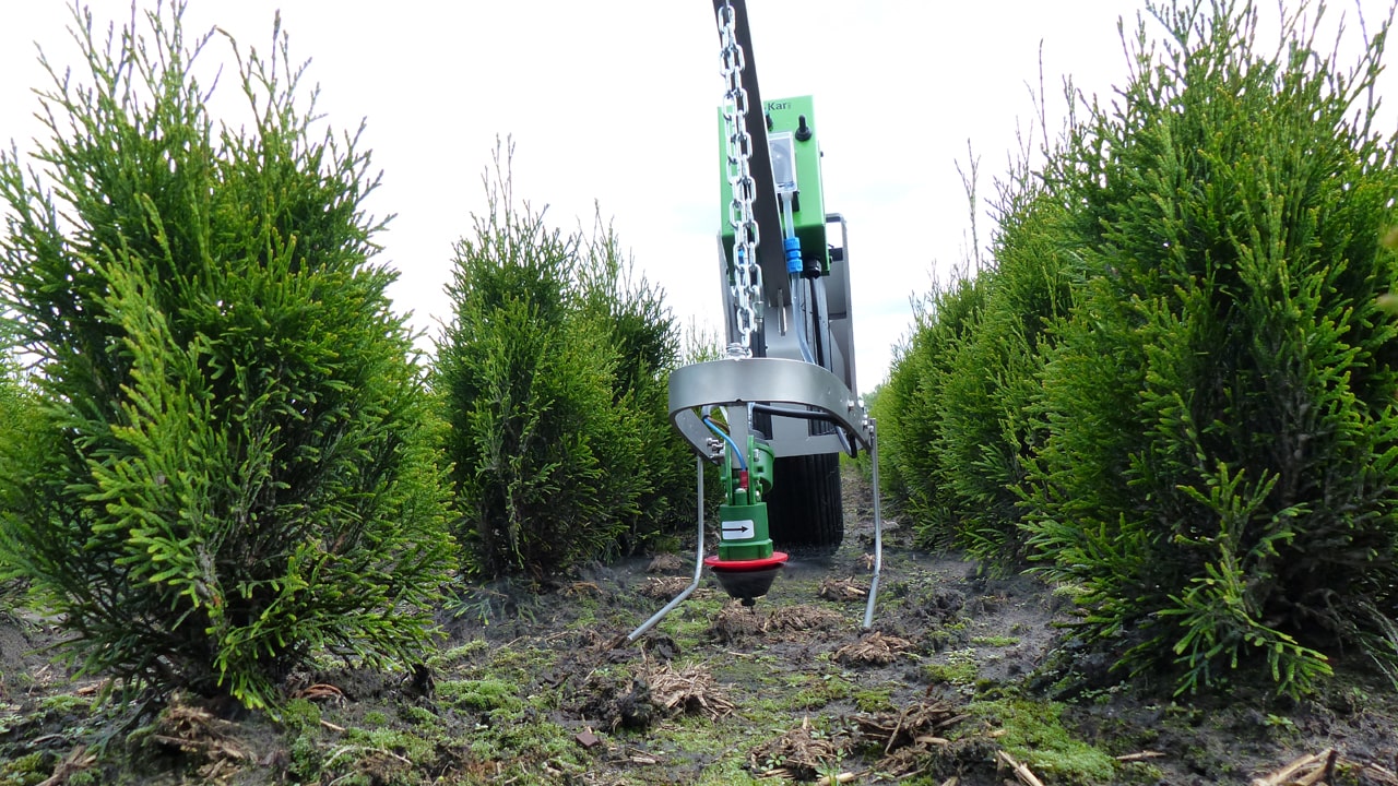 Strooikop lvs