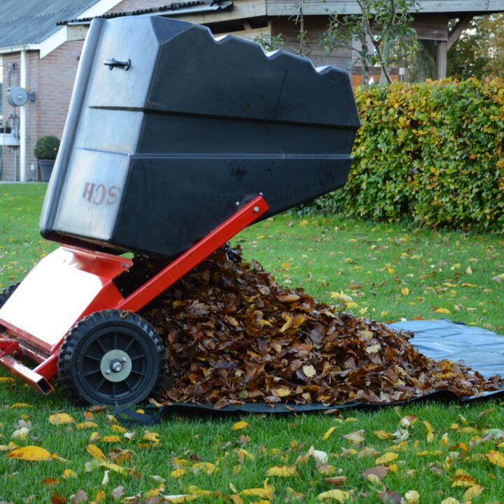 Bladveger